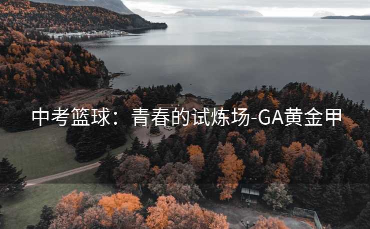 中考篮球：青春的试炼场-GA黄金甲