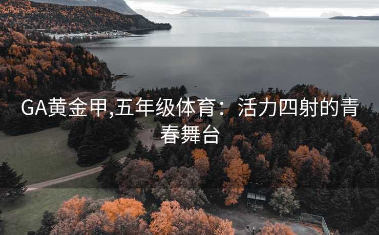 GA黄金甲,五年级体育：活力四射的青春舞台
