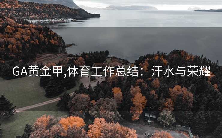 GA黄金甲,体育工作总结:汗水与荣耀