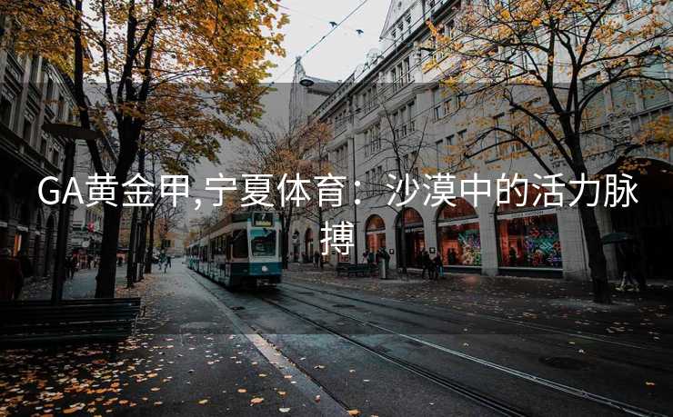 GA黄金甲,宁夏体育：沙漠中的活力脉搏