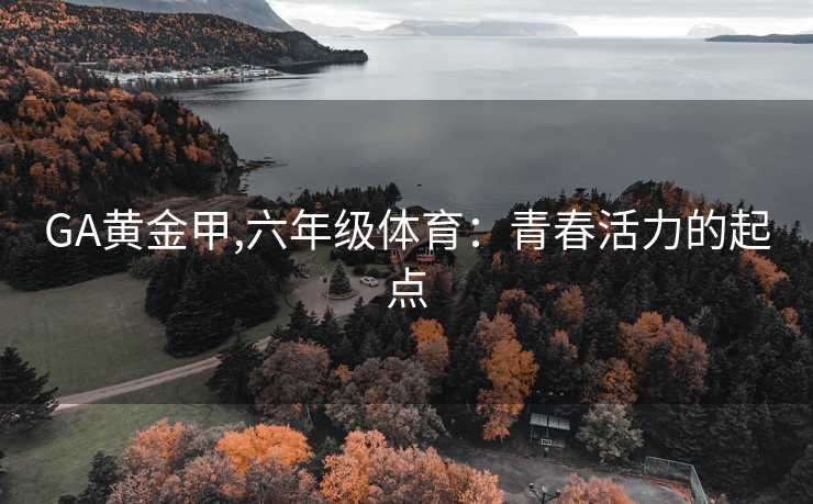 GA黄金甲,六年级体育：青春活力的起点