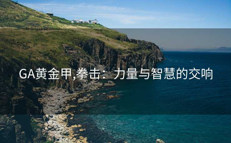 GA黄金甲,拳击：力量与智慧的交响